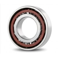 Підшипник Claas 61813 2RS (1000813) кульковий TIMKEN SKF 216653.0